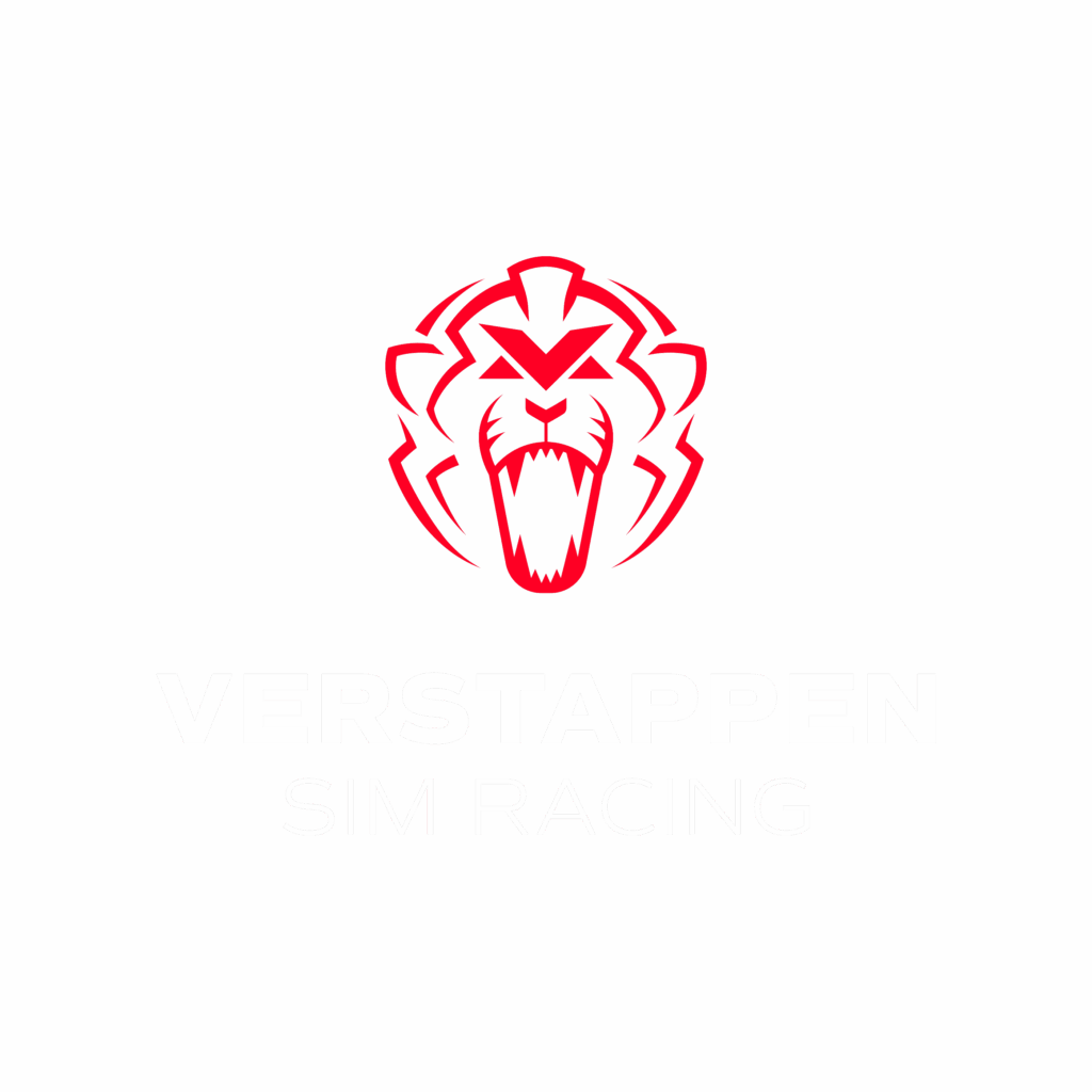Verstappen Sim Racing