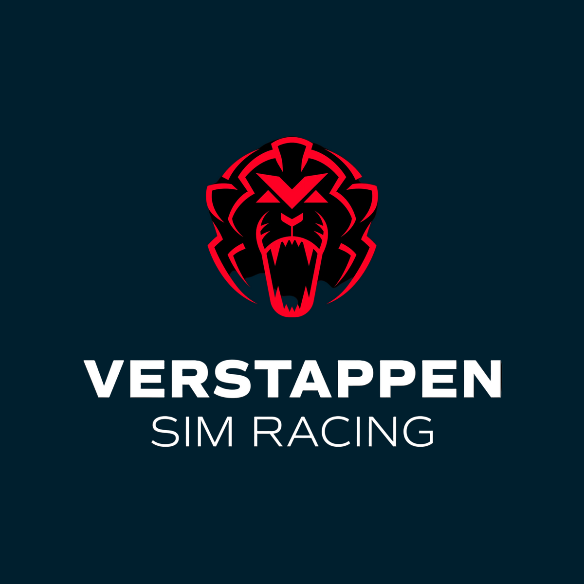 Verstappen Sim Racing